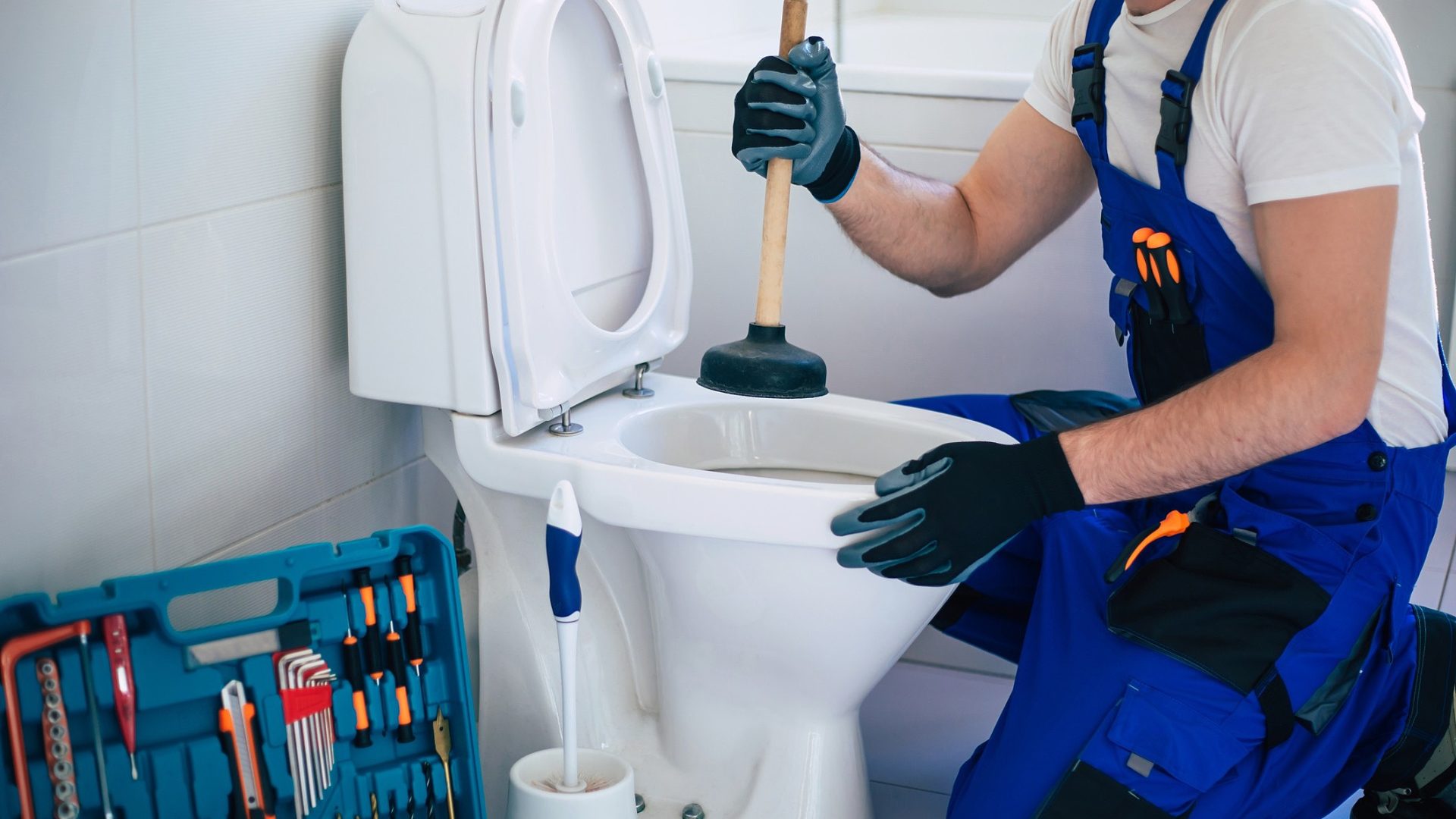 Motivos que Causam o Entupimento de Vaso Sanitário no Bairro Tristeza