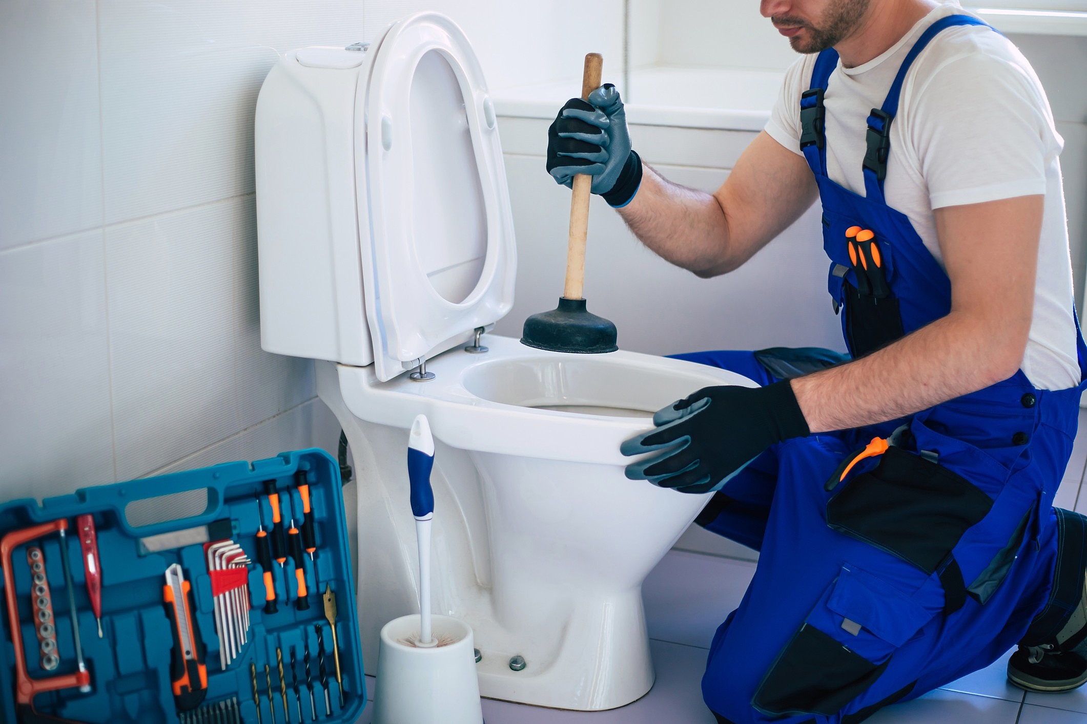 Motivos que Causam o Entupimento de Vaso Sanitário no Bairro Tristeza